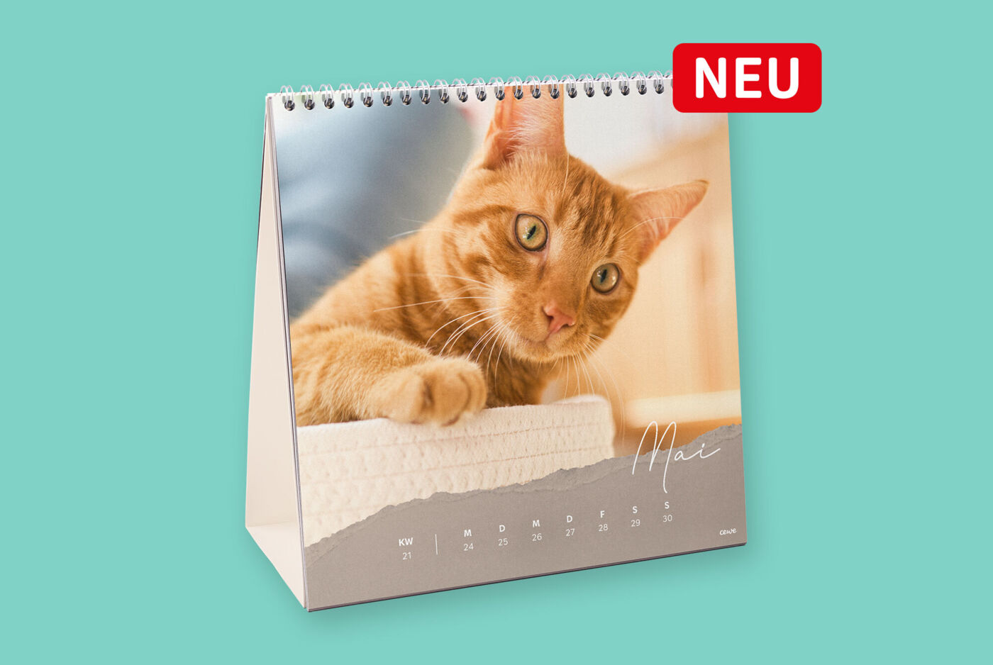 Quadratischer Tischaufstellkalender mit Wochenansicht, buntem Design und Katzenfoto