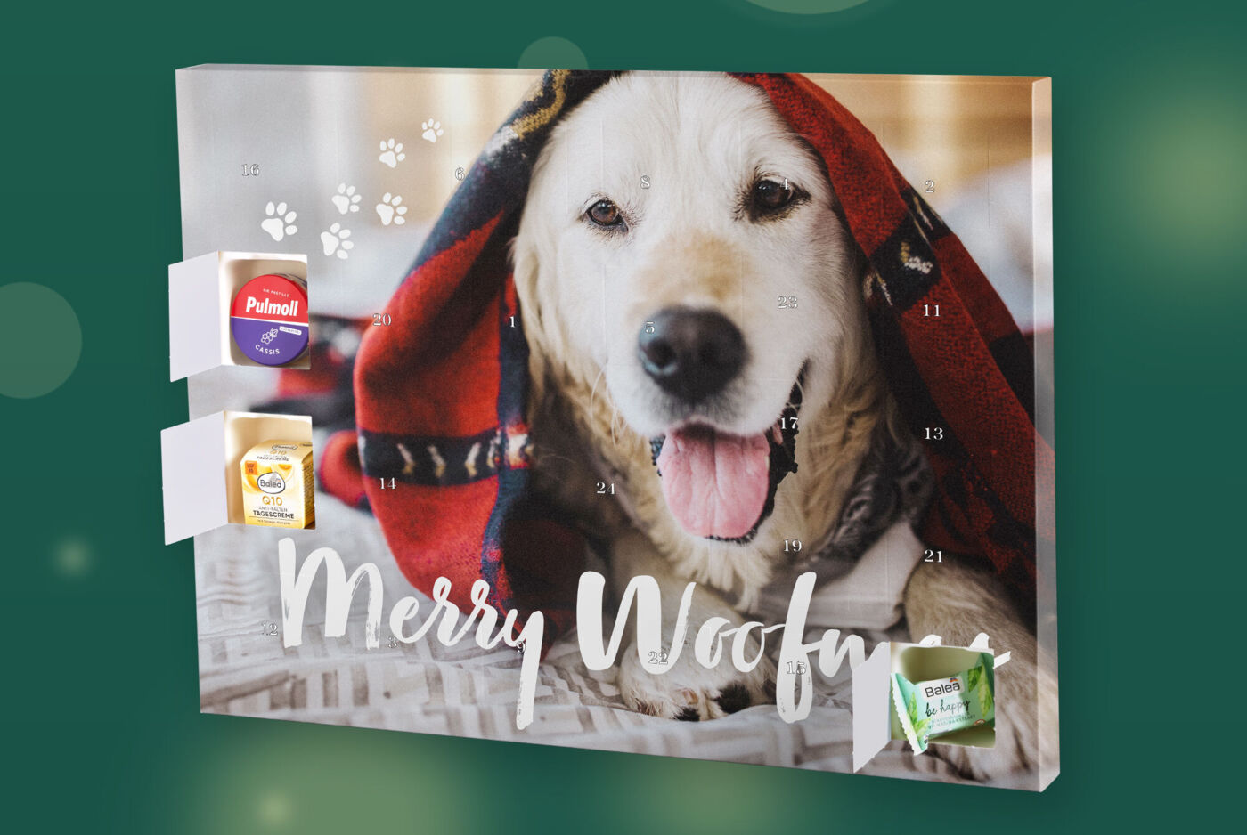 Adventskalender mit Foto, Hund unter roter Decke, offene Türchen mit kleinen Pflegeartikeln und Süßwaren, Schriftzug Merry Woofmas