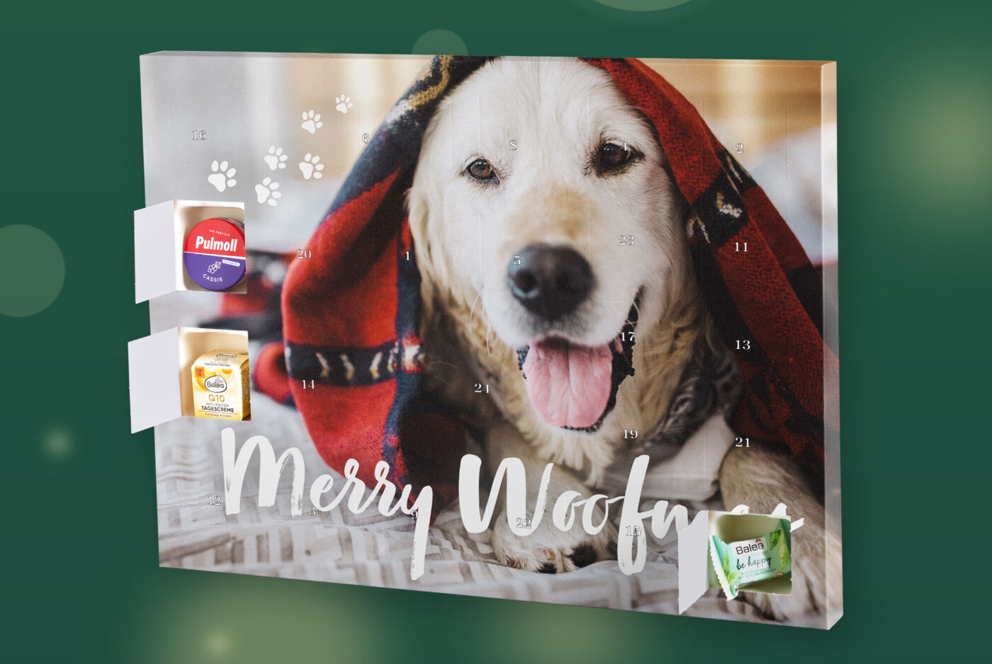 Adventskalender mit Foto, Hund unter roter Decke, offene Türchen mit kleinen Pflegeartikeln und Süßwaren, Schriftzug Merry Woofmas