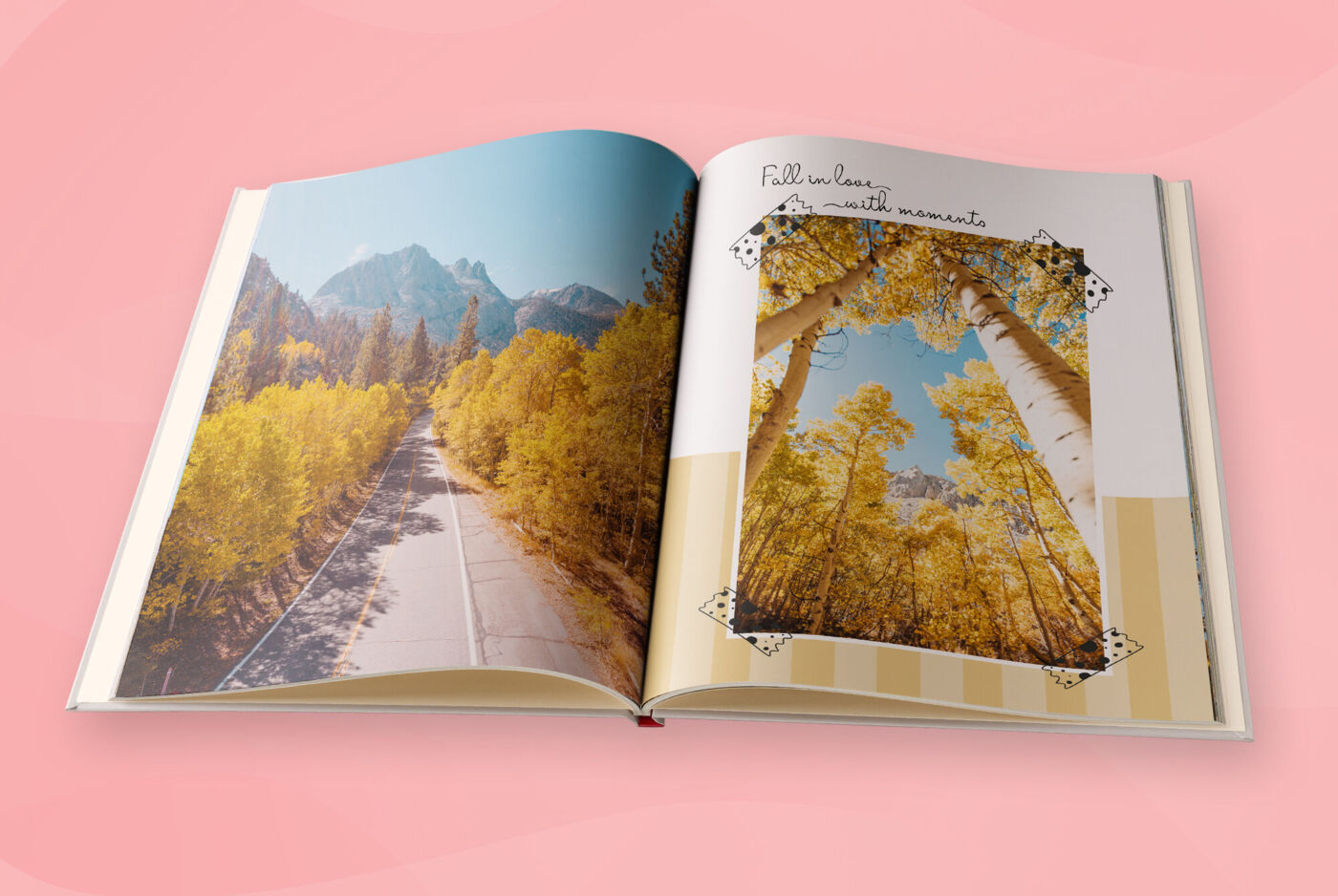 Aufgeschlagenes Fotobuch mit herbstlichen Landschaftsaufnahmen: links eine Straße zwischen goldgelben Bäumen, rechts der Blick durch Birken